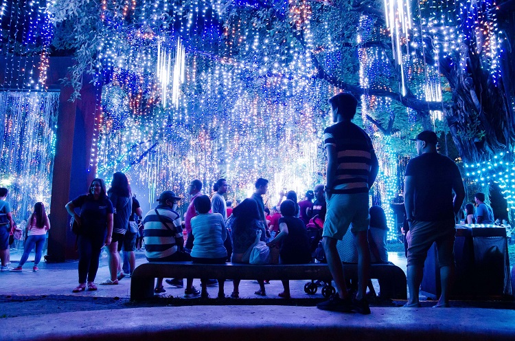 Deck the Halls with LED Lights | IMI